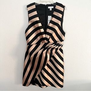 NWT Topshop dress